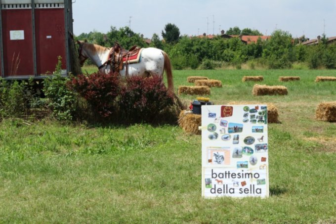 Oasi degli Amici Animali